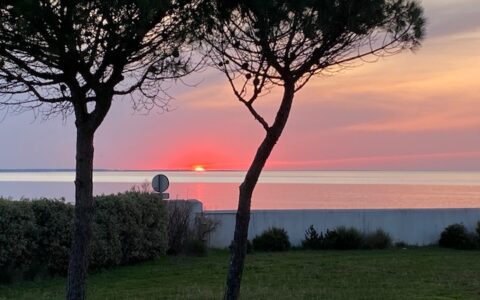 Vue d'un coucher de soleil sur la mer depuis le jardin de la villa 180° mer
